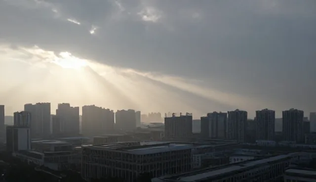 技术外包中的性能与适用条件理解偏差